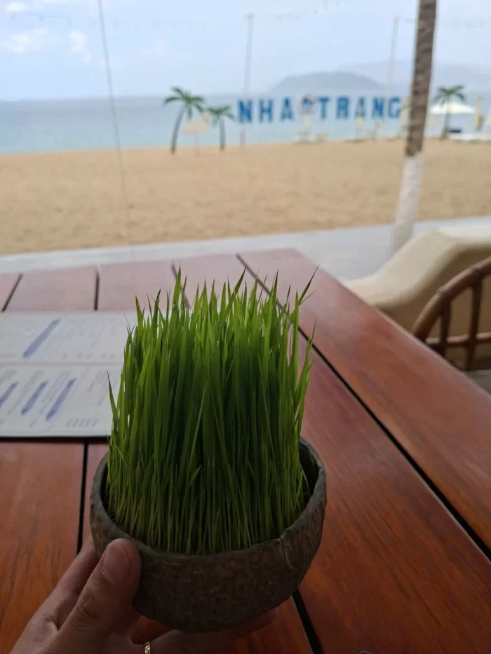 Thuê Xe Nha Trang Đi Bình Hưng